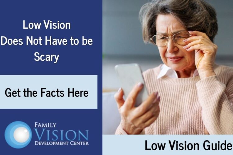 low vision guide